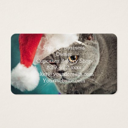 Gray cat christmas - Christmas cat -kitten cat Business Card