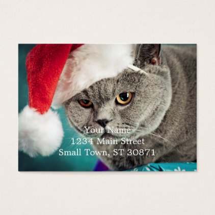 Gray cat christmas - Christmas cat -kitten cat Business Card