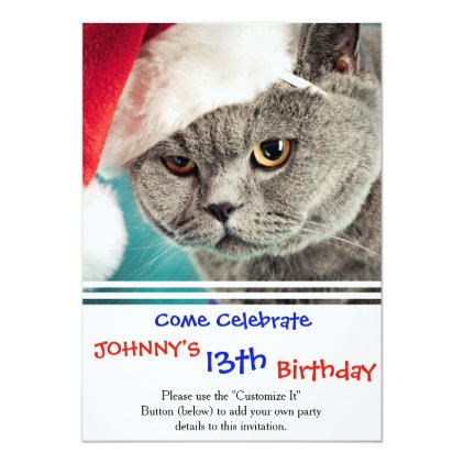 Gray cat christmas - Christmas cat -kitten cat Card