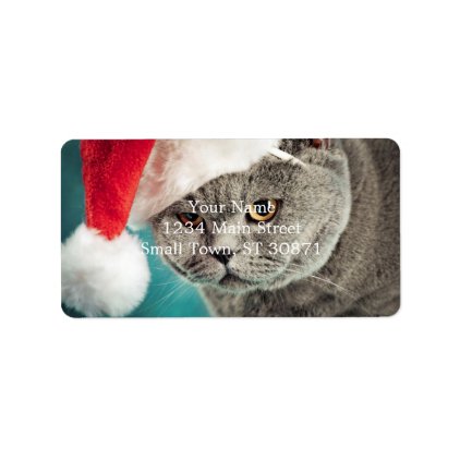 Gray cat christmas - Christmas cat -kitten cat Label