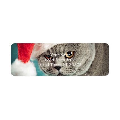 Gray cat christmas - Christmas cat -kitten cat Label