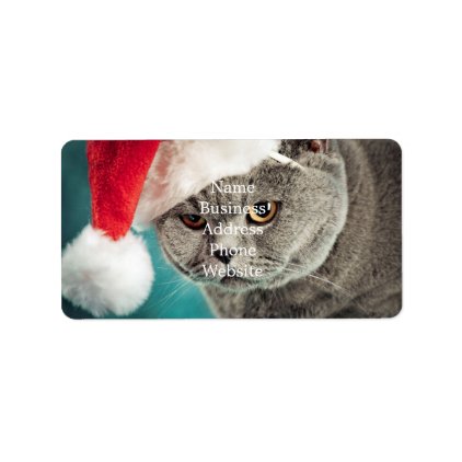 Gray cat christmas - Christmas cat -kitten cat Label