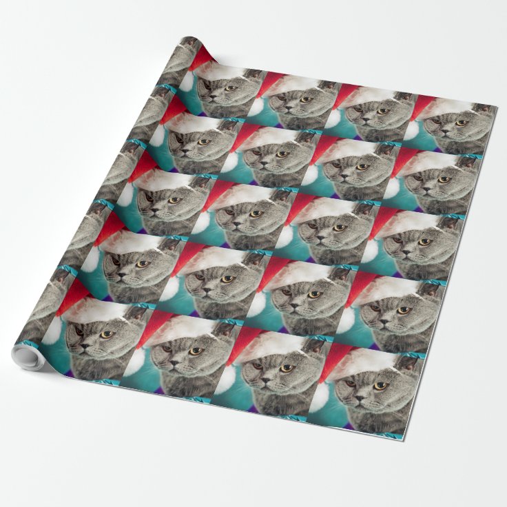 Gray cat christmas Christmas cat kitten cat Wrapping Paper Zazzle