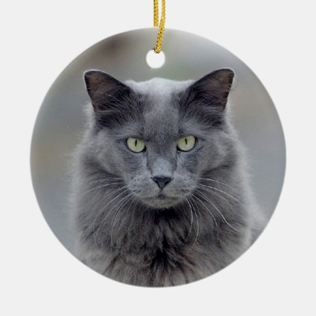 Gray Cat Christmas Ornament (Front)