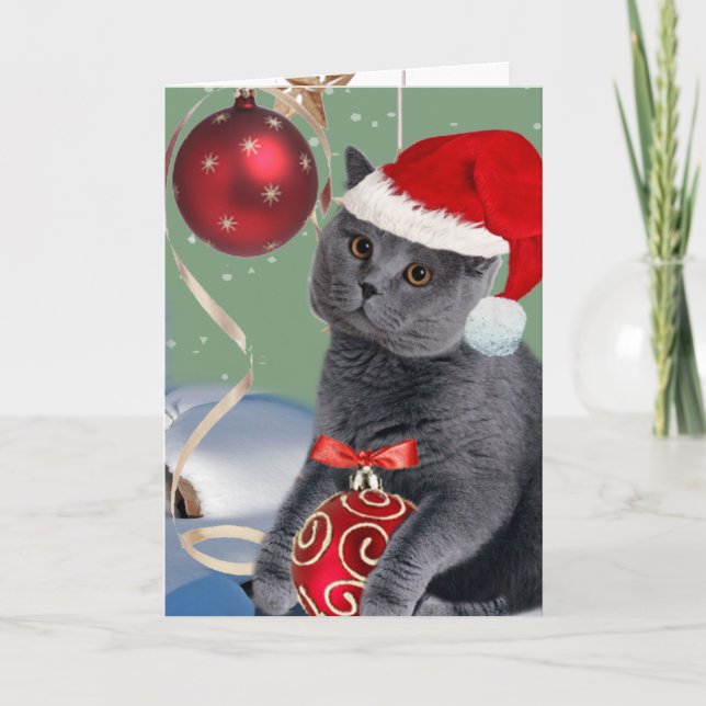 Gray Cat Christmas Play Cards (Front)