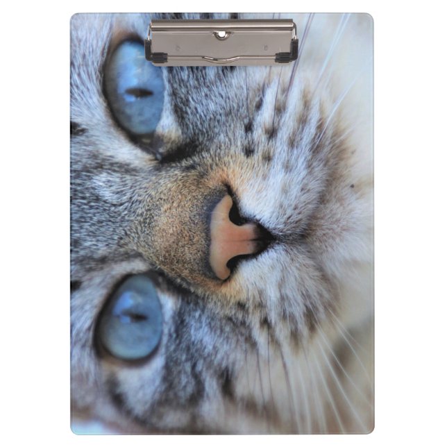 Gray Cat Clipboard (Front)