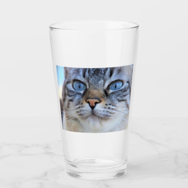 Gray Cat Glass (Front)
