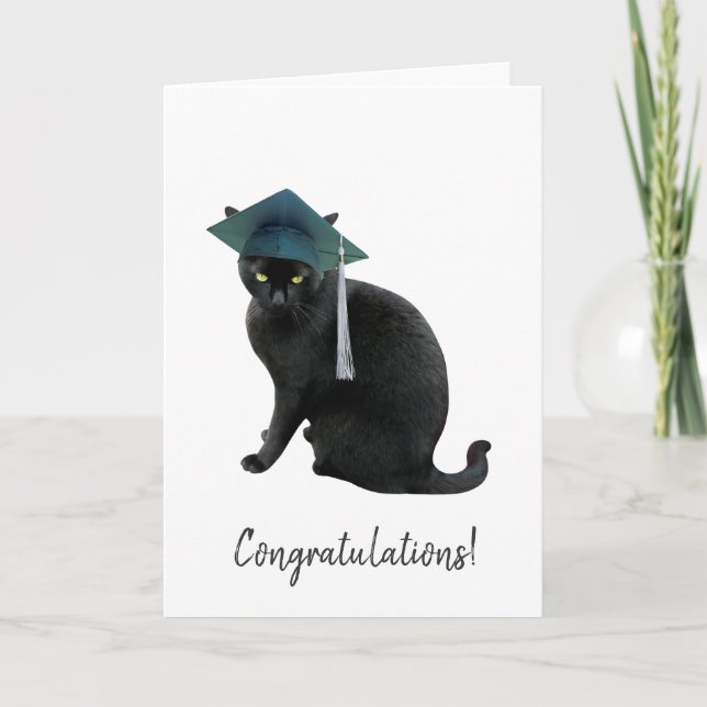 Gray Cat Graduation Card (Front)
