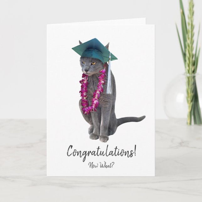 Gray Cat Graduation Card (Front)