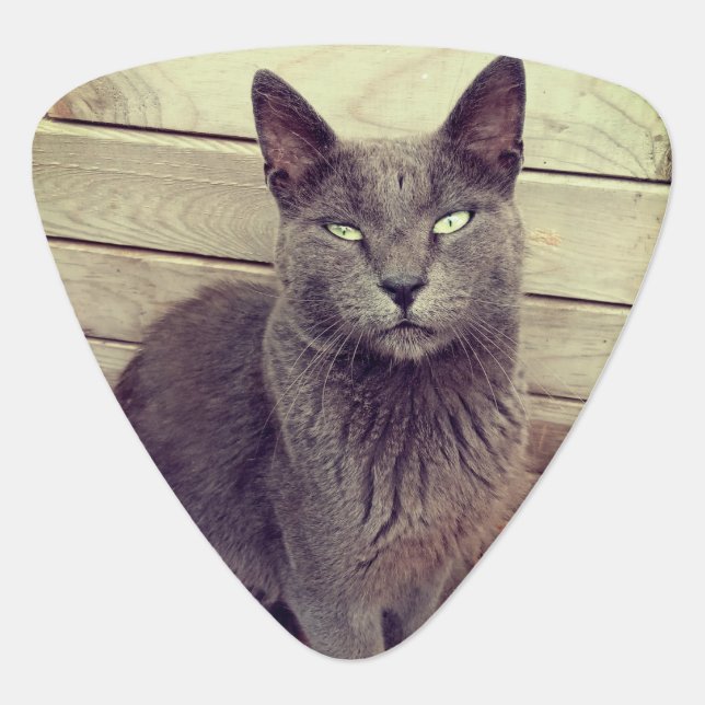 Gray Cat Guitar Pick (Front)