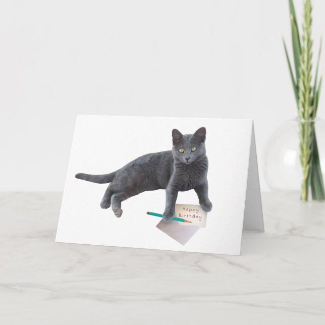 Gray Cat Happy Birthday Letter Card (Front)