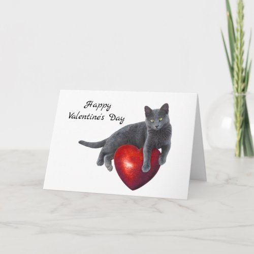 Gray Cat Heart Valentines Day Card