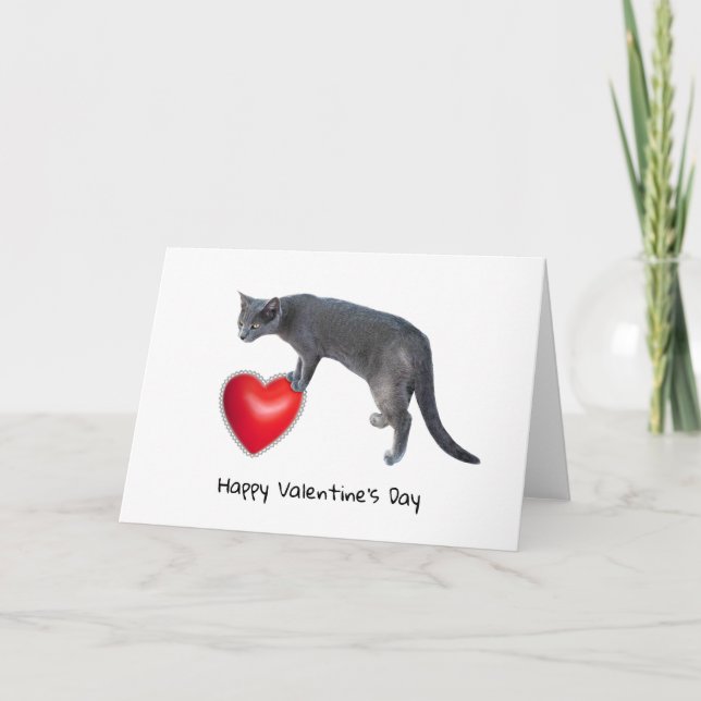 Gray Cat Holding Red Heart Valentine Card (Front)