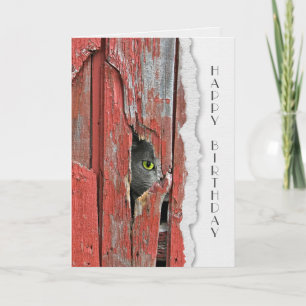 Gray Cat In Barn Hole Hello Card