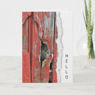 Gray Cat In Barn Hole Hello Card