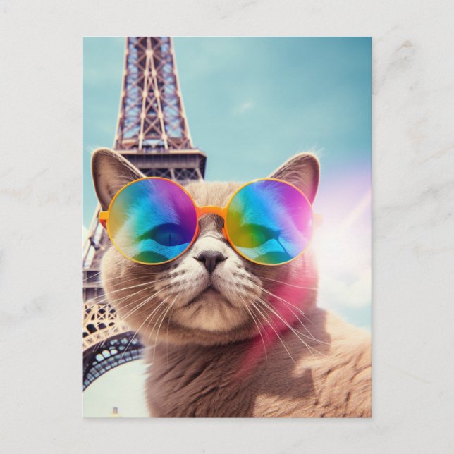 Gray Cat in Sunglasses in Paris Postcard (Front)