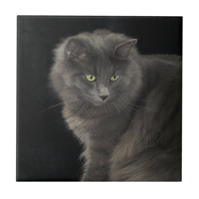 Gray Cat Long Hair Russian Blue Kitty Kitten Cute  Ceramic Tile (Front)