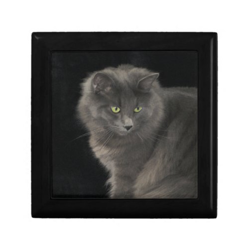 Gray Cat Long Hair Russian Blue Kitty Kitten Cute  Gift Box