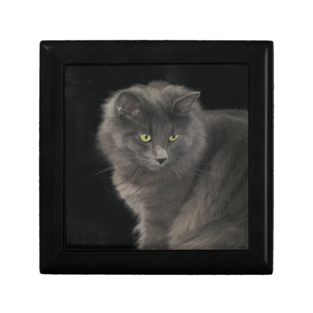 Gray Cat Long Hair Russian Blue Kitty Kitten Cute  Gift Box (Front)