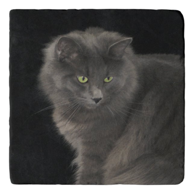 Gray Cat Long Hair Russian Blue Kitty Kitten Cute  Trivet (Front)