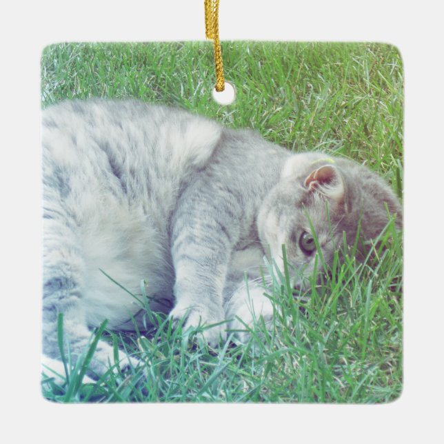Gray Cat Lover Your Photo Christmas Ornament (Front)