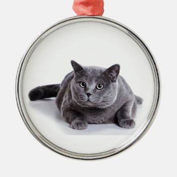 Gray Cat Metal Ornament by Theraven14 at Zazzle