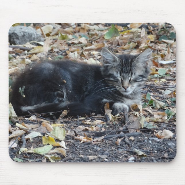 Gray Cat Mouse Pad (Front)