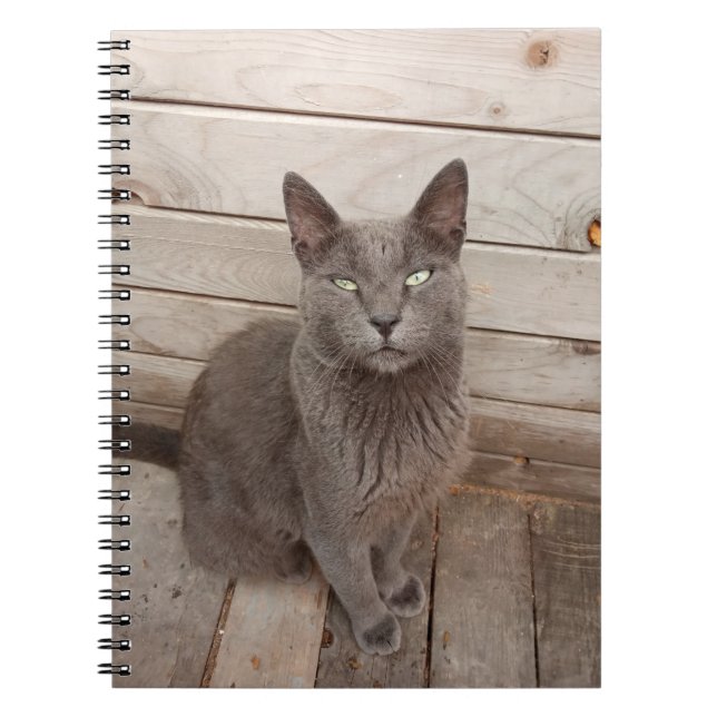 Gray Cat Notebook (Front)