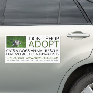 Gray Cat on Grass, Pet Adoption Advertising Car Magnet