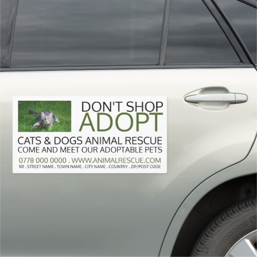 Gray Cat on Grass Pet Adoption Advertising Car Magnet