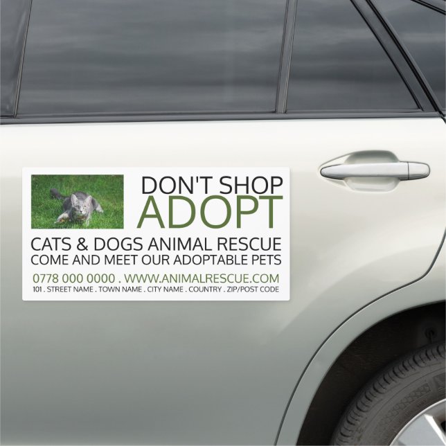 Gray Cat on Grass, Pet Adoption Advertising Car Magnet (In Situ)