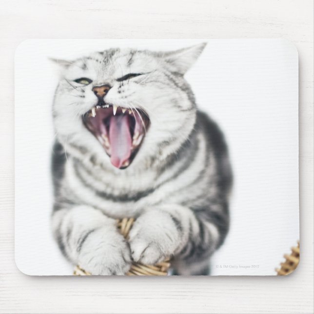 gray cat on white background mouse pad (Front)