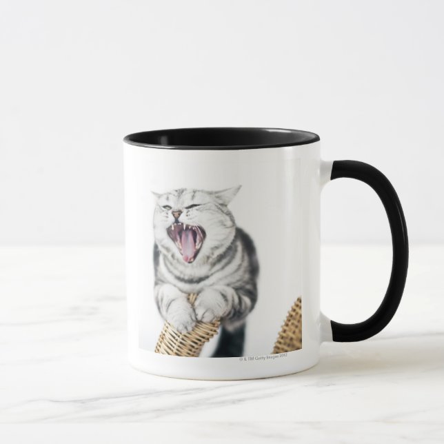 gray cat on white background mug (Right)