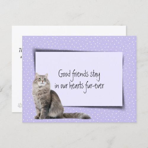 Gray Cat Pet Loss From Veterinarian Postcard