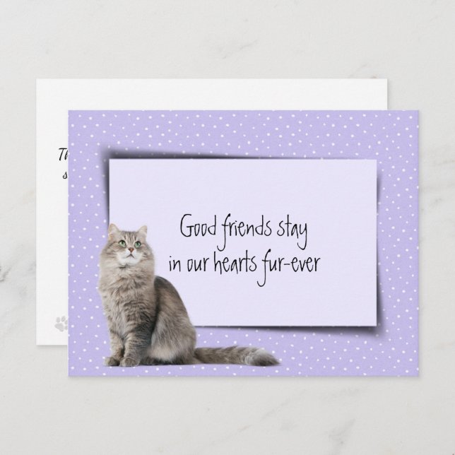 Gray Cat Pet Loss From Veterinarian Postcard (Front/Back)