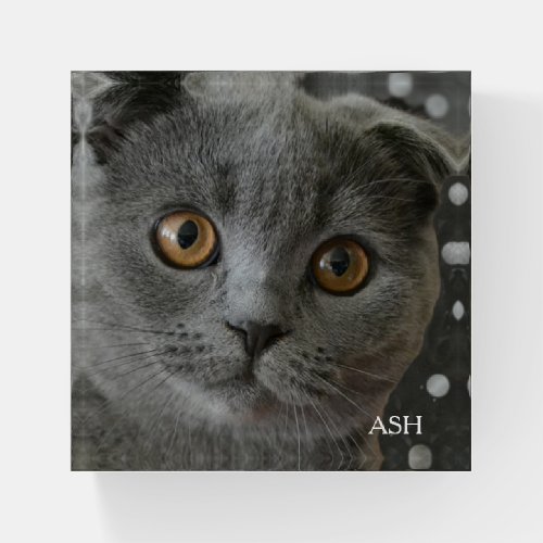 Gray Cat Photo Paperweight