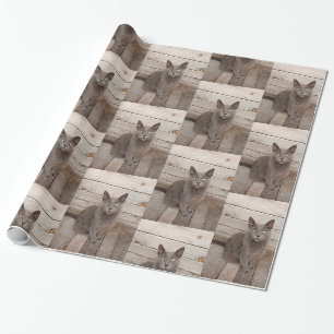 Gray cat photo wrapping paper