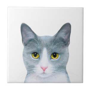 Gray Cat Portrait 611 Tile