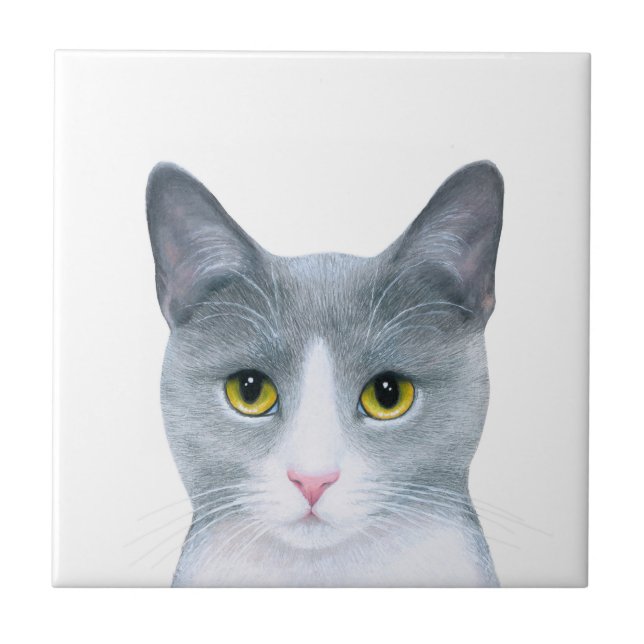 Gray Cat Portrait 611 Tile (Front)