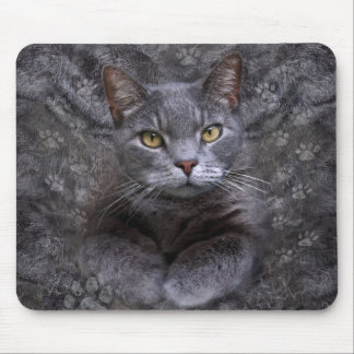 Gray Cat Portrait Mouse Pad