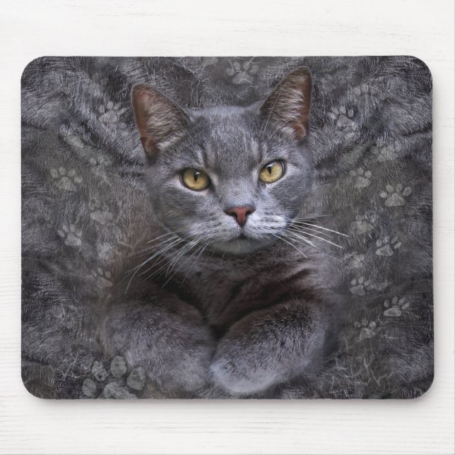 Gray Cat Portrait Mouse Pad (Front)
