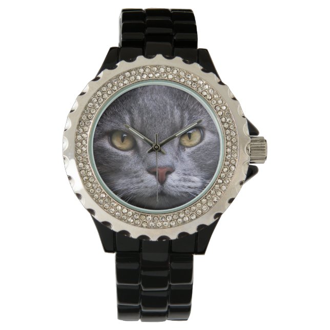 Gray Cat Portrait Watch (Front)