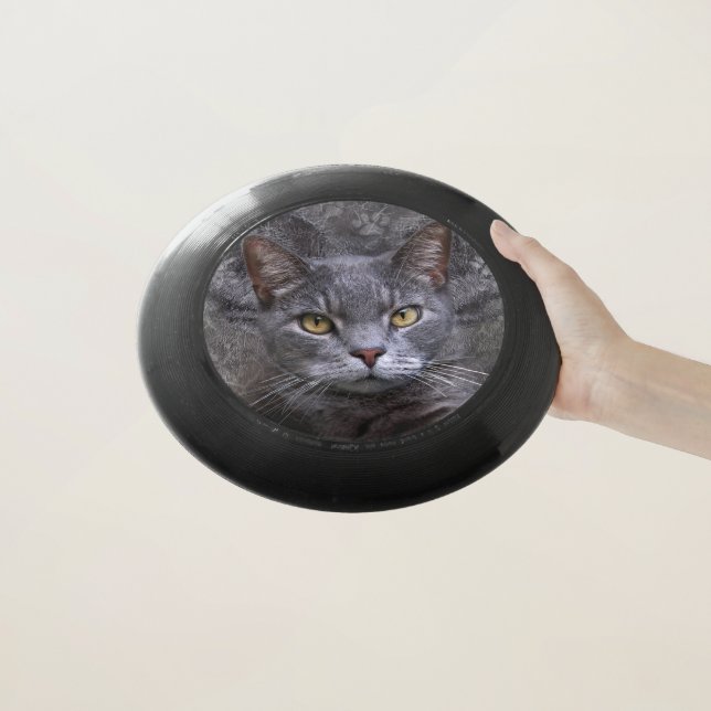 Gray Cat Portrait Wham-O Frisbee (In Hand)