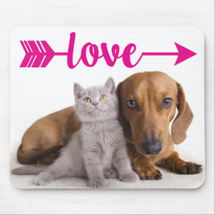 Gray Cat Puppy Dog Cute Kitten Dachshund Mouse Pad