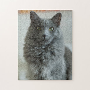 Gray Cat Puzzle