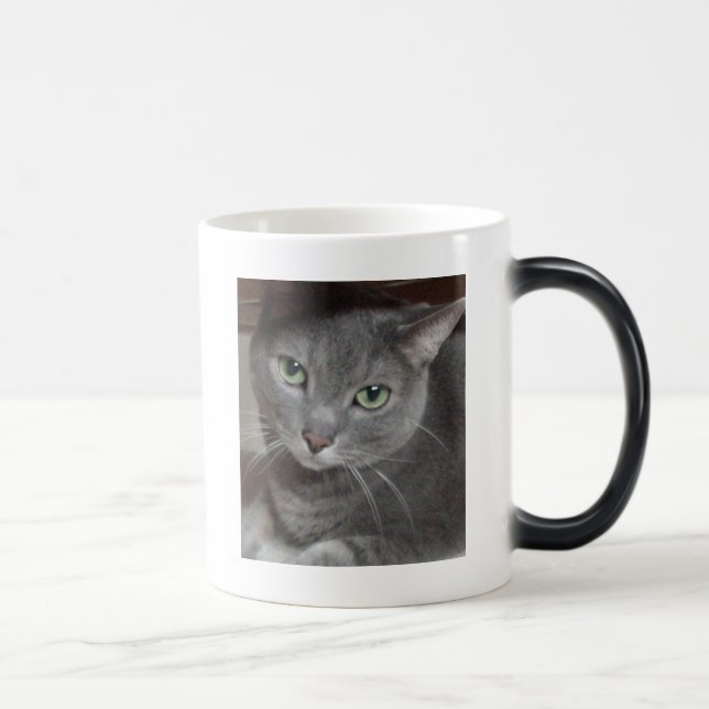 Gray Cat Russian Blue Color Morph Mug (Right)