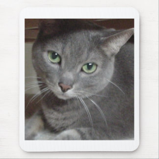 Gray Cat Russian Blue Mouse Pad