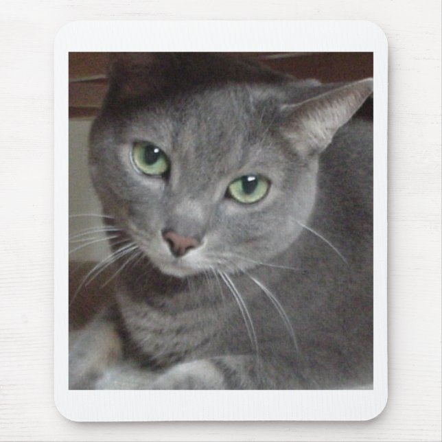 Gray Cat Russian Blue Mouse Pad (Front)