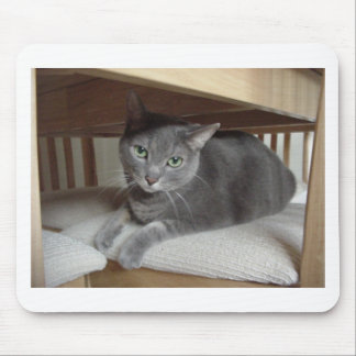 Gray Cat/Russian Blue Mouse Pad