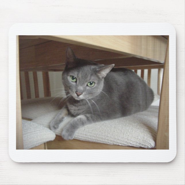 Gray Cat/Russian Blue Mouse Pad (Front)